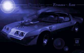 Pontiac TransAm WS6 '79, Bild 4