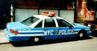 Caprice Classic '93 Pursuit, Bild 4