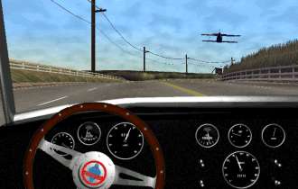 Shelby Cobra 427 Racing, Bild 3